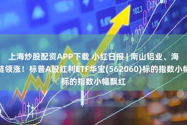 上海炒股配资APP下载 小红日报 | 南山铝业、海容冷链领涨！标普A股红利ETF华宝(562060)标的指数小幅飘红